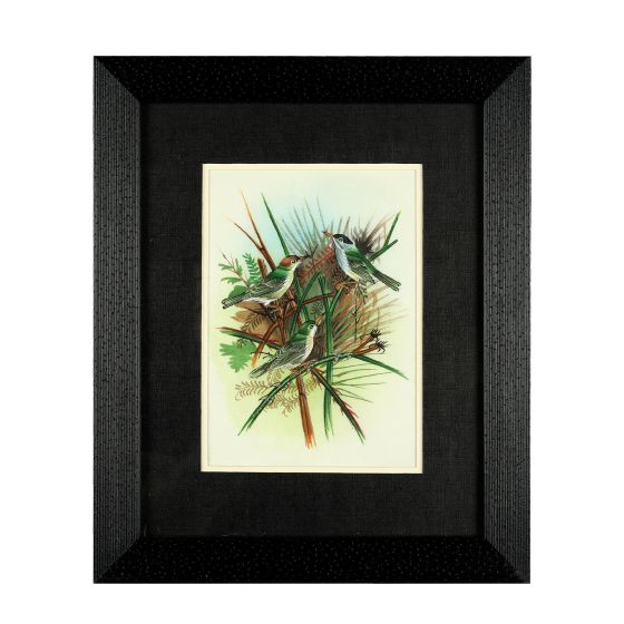 Miniature Painting Birds Design Silk With Frame 7*5" three birds