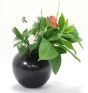 Black Pottery Flower Vase Face Shape