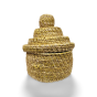 Temple Box Golden Grass Natural Color 6"