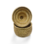 Temple Box Golden Grass Natural Color 6"