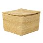 Golden Grass 14 Inch Square Box