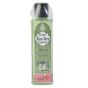 Palash Shampoo Aloe Vera 100 ML