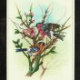 Miniature Painting Birds Design Silk With Frame 7*5" two birds