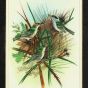 Miniature Painting Birds Design Silk With Frame Image 2