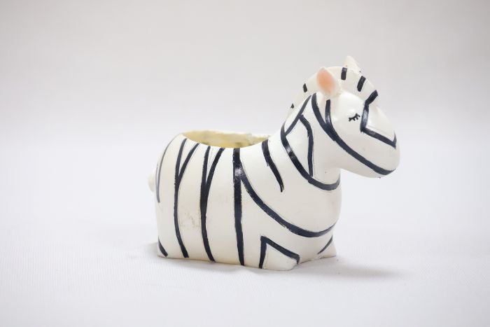 White Zebra-Pot