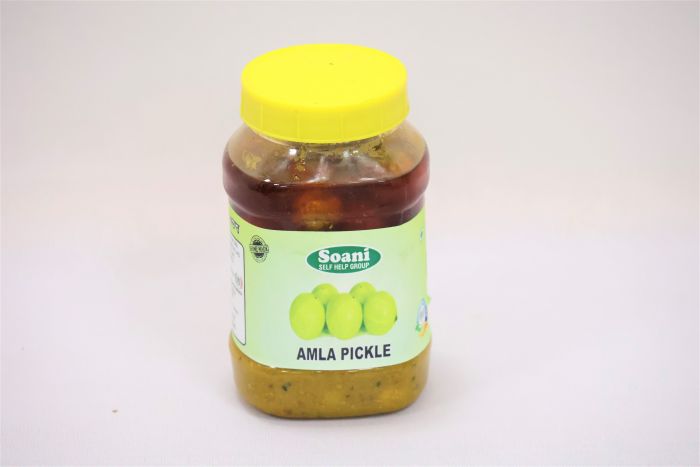 Punjabi Pickle Amla 500 G Bt