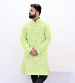 Cotton Long Kurta Full Sleeves (Light Green Lines 42)