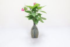 Kp Flr Vase Pan Light Grn10 In