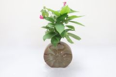 Kp Flr Vase Ring Matki Grn And Brown 9 In